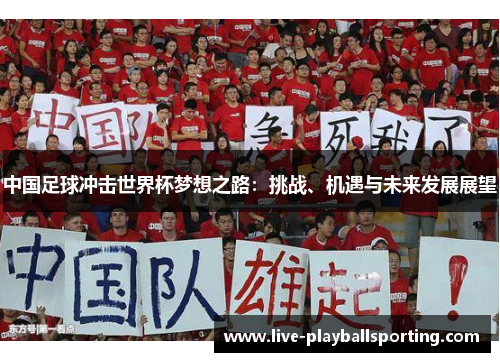 中国足球冲击世界杯梦想之路：挑战、机遇与未来发展展望