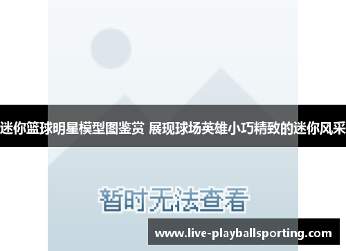迷你篮球明星模型图鉴赏 展现球场英雄小巧精致的迷你风采